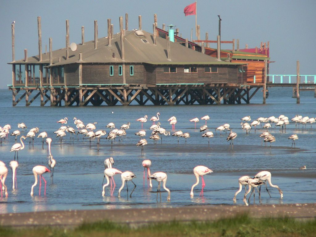 Walvis Bay